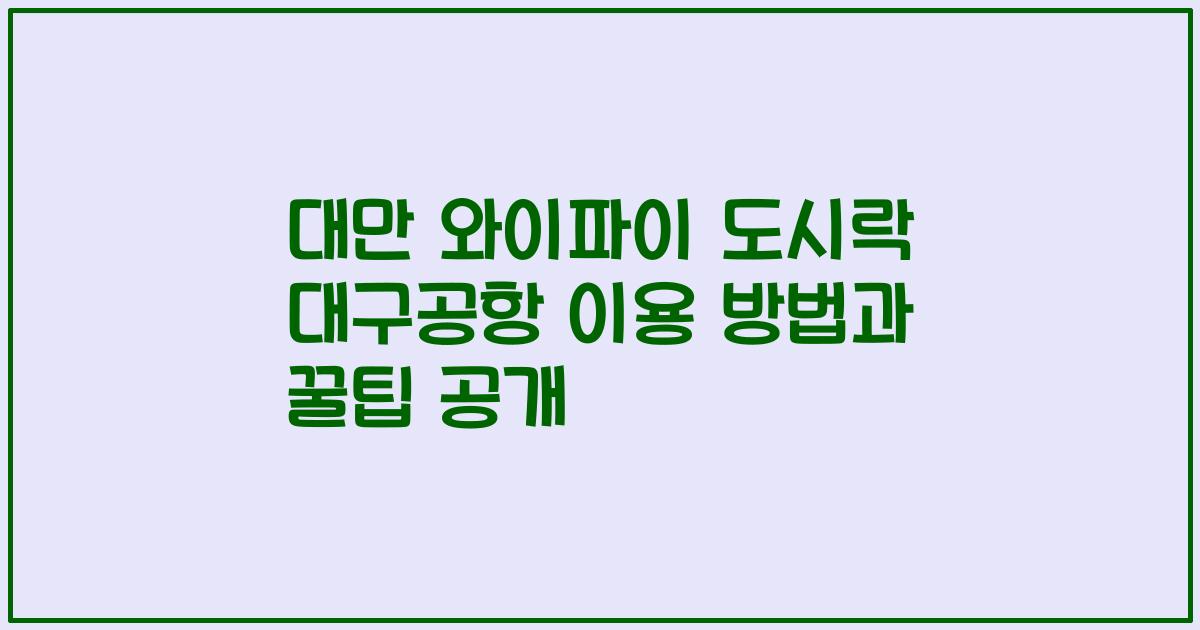 대만 와이파이 도시락 대구공항 이용 방법과 꿀팁 공개